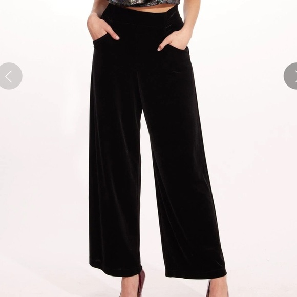 Eva Franco Pants - EVA FRANCO NWT Size 6 Hepburn Pant in Black Velvet Wide Leg High Waisted Pocket